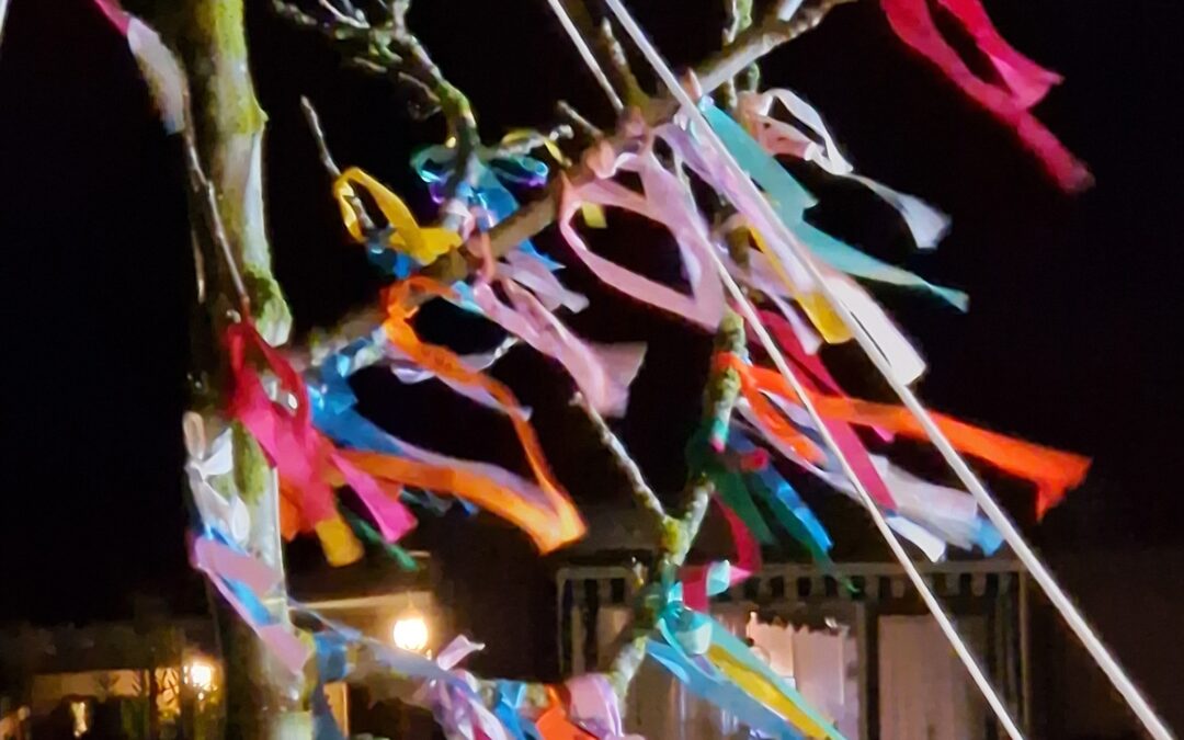 Wereldlichtjesdag (2)